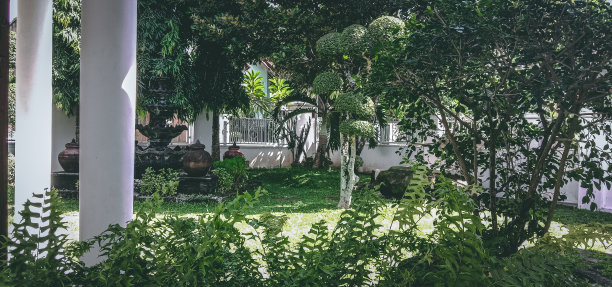 白天美丽的花园图片下载