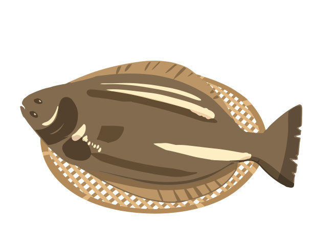 比目鱼扎鲁没有线图片下载