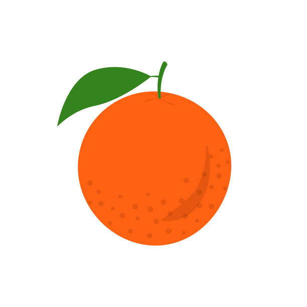橙色图标。有叶的柑橘类水果。矢量插图。图片下载