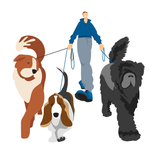 遛狗。人们遛狗。矢量插图的狗的不同品种图片下载