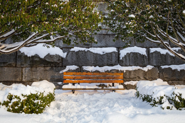 雪中长椅图片下载