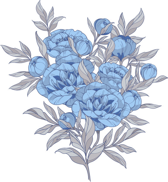 花束蓝色的牡丹与灰色的叶子图片下载