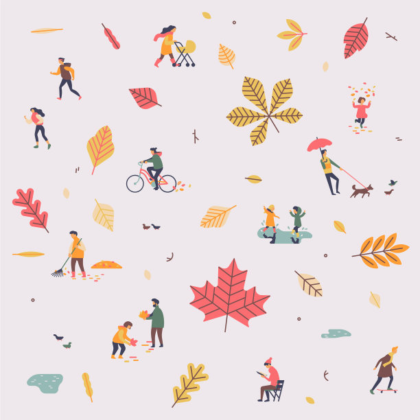 可爱的极简图案在秋天或秋天图片下载