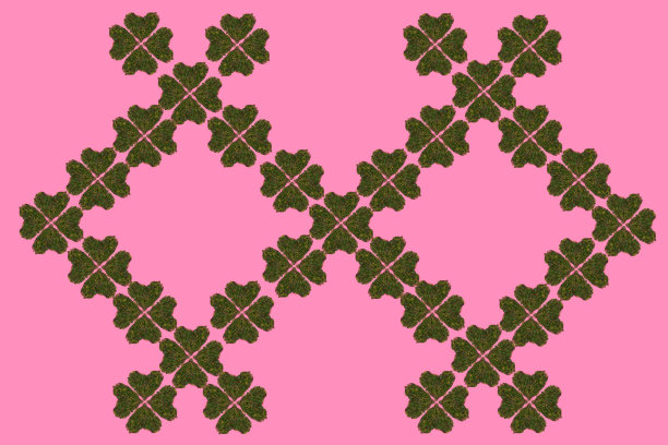 图案创建的三叶草心形成的新鲜绿叶从爱尔兰沿海风吹草悬崖。极简的三叶草以粉红色为背景。图片下载