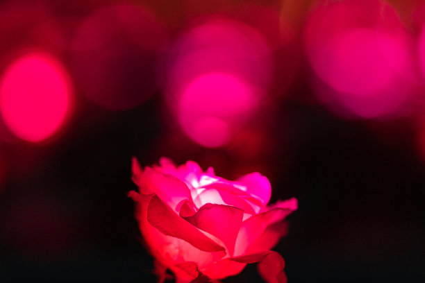 五彩缤纷的圣诞照明图片下载