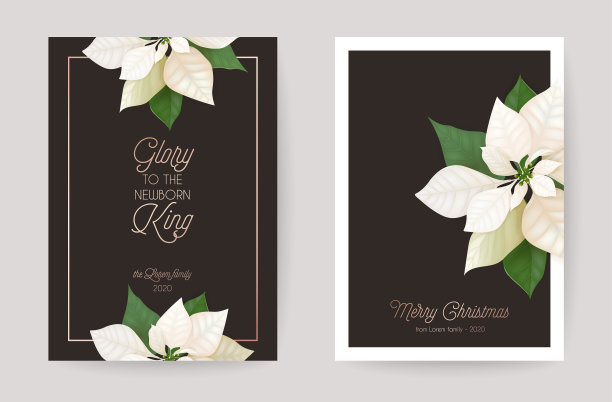 圣诞花一品红贺卡图片下载