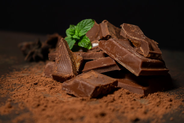 不同的黑巧克力和可可粉在深色的表面。薄荷叶和八角的种子完成了这幅画。空间的文本图片下载