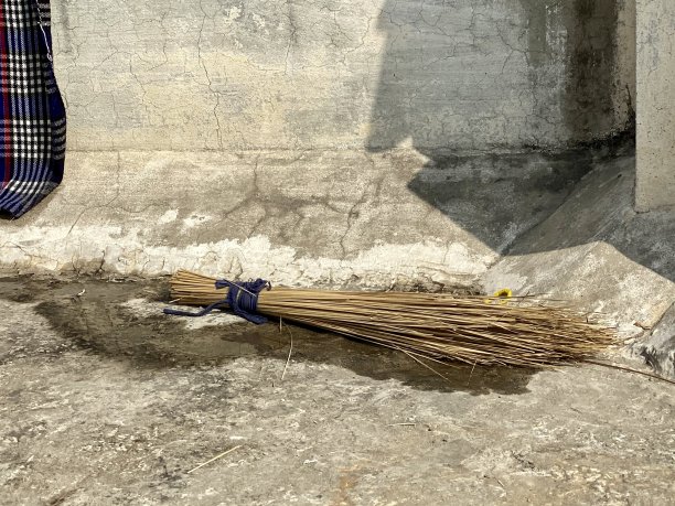 干稻草扫帚图片下载