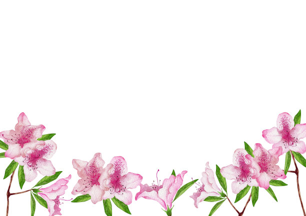 杜鹃花水彩框架图片下载