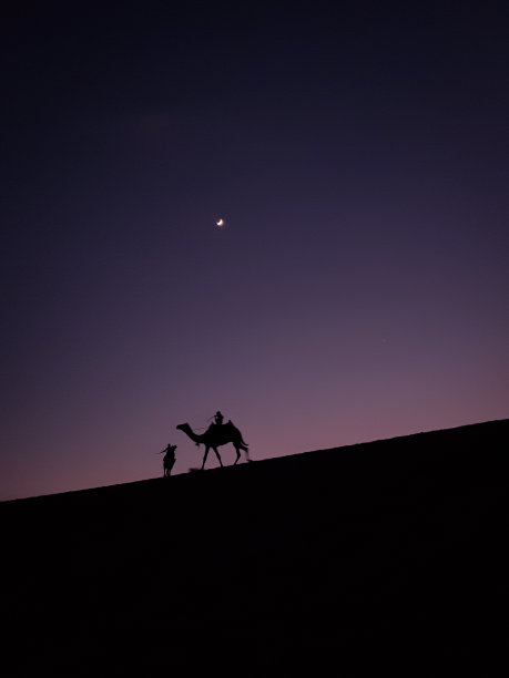 月光下图片下载