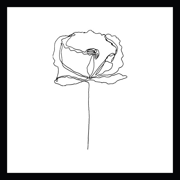 简单连续的线条艺术花卉图片下载