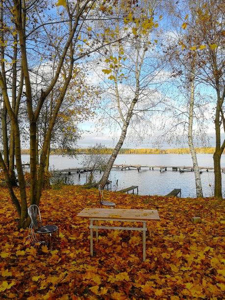 静物，一张桌子配一张椅子在大自然中，在湖岸中秋色红叶图片下载