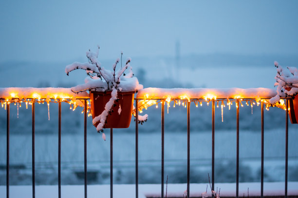 被白雪覆盖的花盆上挂着圣诞彩灯。黄昏和日落后的黄昏时间。冬天天气寒冷。图片下载