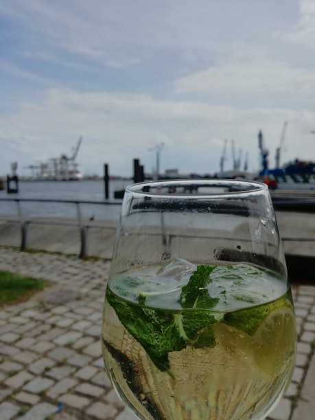 雨果在汉堡港图片下载
