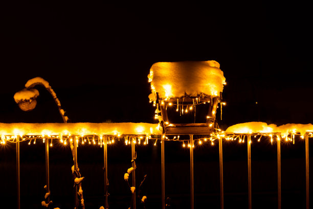 可以看到带有植物的小屋顶花园和被圣诞灯覆盖的木制鸟笼喂食器。冬天下雪，天气寒冷。生态园林理念，鸟食。《暮光之城》的颜色,晚上。图片下载