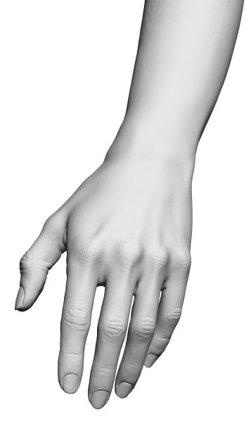 白种女性精细手的模型。一个女孩的多边形手。3 d。矢量图图片下载