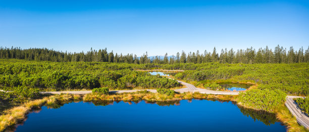 田园诗般的高山湖泊图片下载