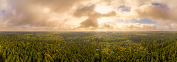 10月，无人机拍摄的秋季全景森林上空的美妙光线。图片下载