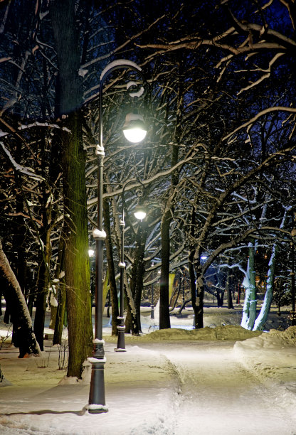 这个城市公园晚上用电照明。图片下载