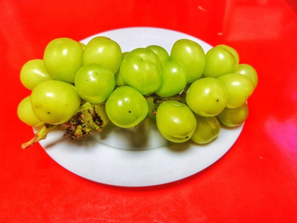 一盘葡萄图片下载