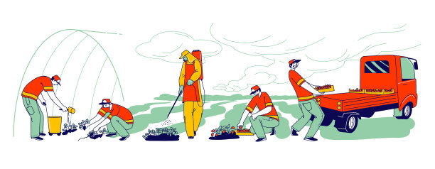 草莓农场工人细心地采摘和装载图片下载