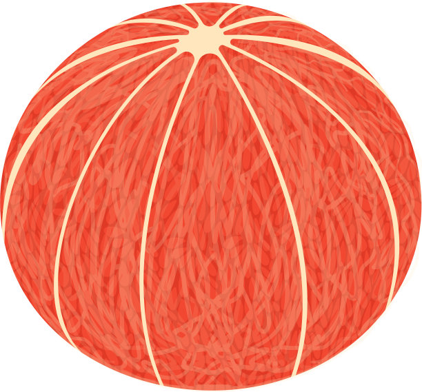 干净的葡萄柚图标等距样式图片下载