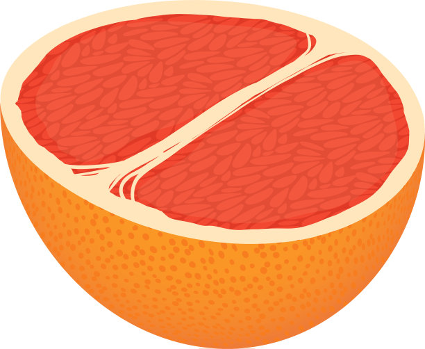半葡萄柚图标等距风格图片下载