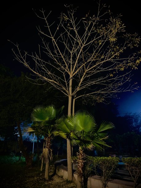 黑暗的阴影图片下载