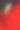 美丽的背景与红色的红掌或火烈鸟花图片下载
