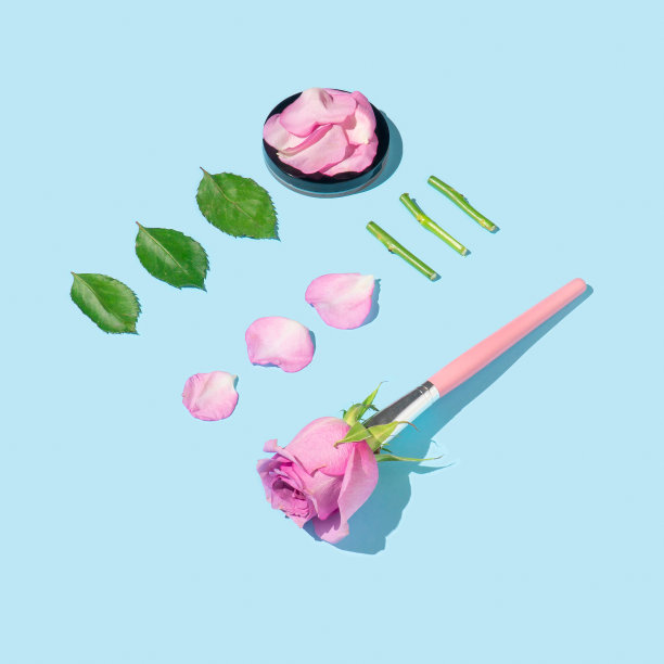 创意的天然化妆品flatlay组成与粉色玫瑰花化妆刷，花瓣和绿叶在柔和的蓝色背景。图片下载