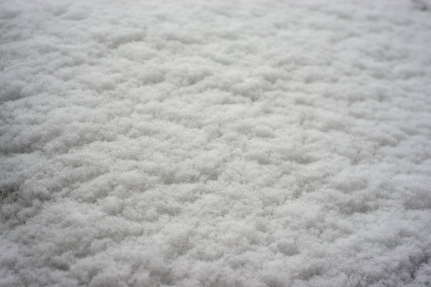 新鲜的积雪图片下载
