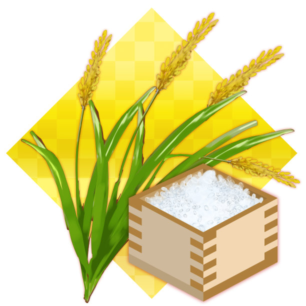 大米和大米在一个盒子里图片下载