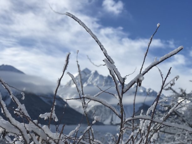 瑞士冬天肖像图片下载