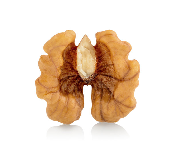 新鲜的英文，波斯胡桃孤立在白色的背景与阴影反射和剪切路径，矢量路径。白色背景下的坚果仁。没有壳的半个核桃。微距摄影。图片下载