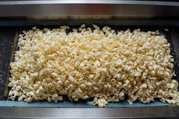 现代化工厂中油炸零食和薯条的输送线图片下载