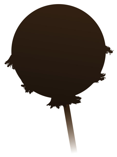 有流苏的圆球，代表舞龙用的一颗珍珠图片下载