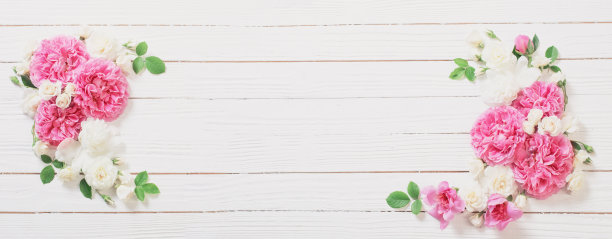 白色木质背景上的粉色和白色玫瑰图片下载