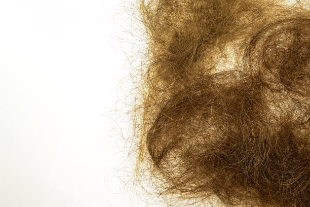 白色背景上的一堆剪发图片下载