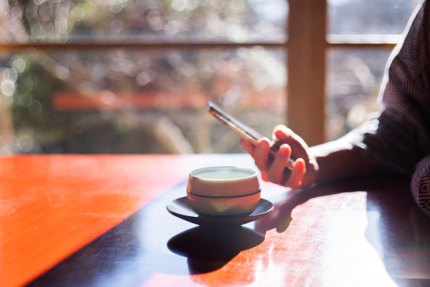 在日式旅馆度假时使用智能手机的女人图片下载