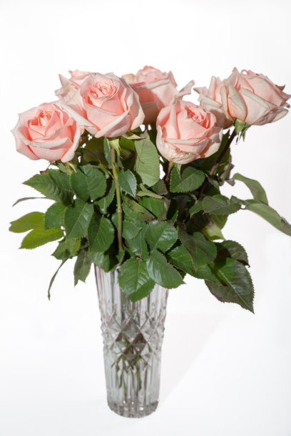 花瓶里的玫瑰花束图片下载