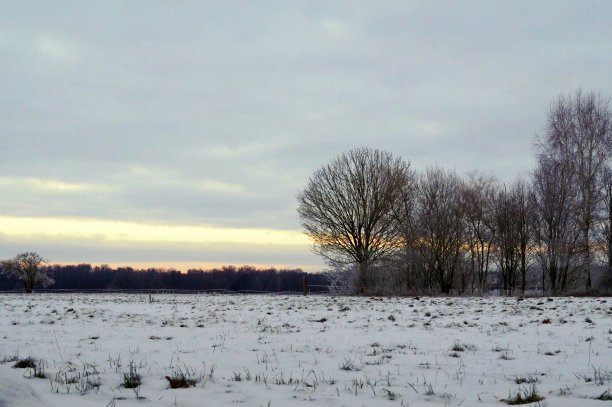 冬天的风景图片下载