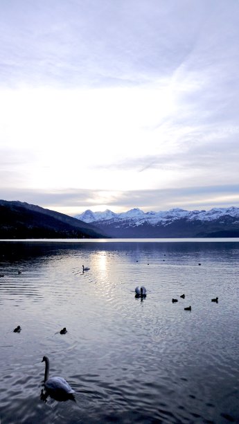 Brienz湖图片下载