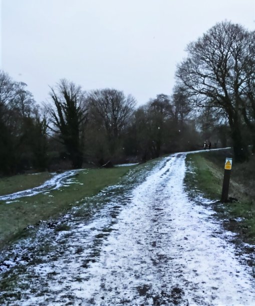 冬季景色的风景画图片下载