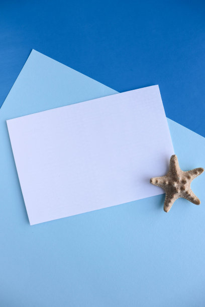 空白的白色卡片，信封和贝壳图片下载