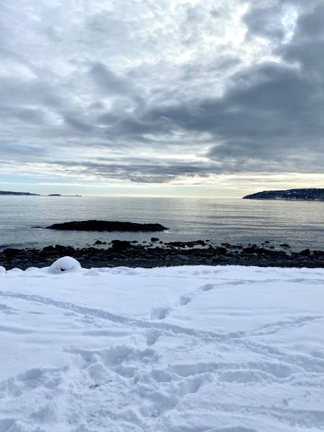 雪地里的脚印图片下载