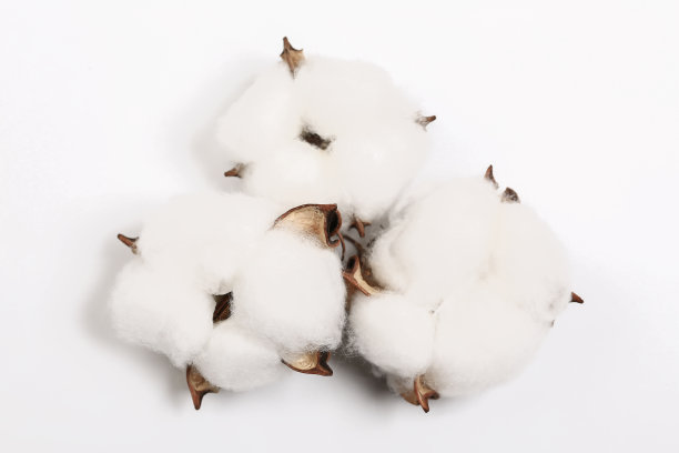 白色背景上的交错花。复制空间，放置你的文本。前视图。素材图片