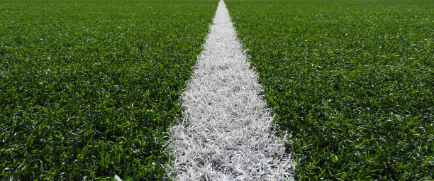 17、足球衬绿草图片下载