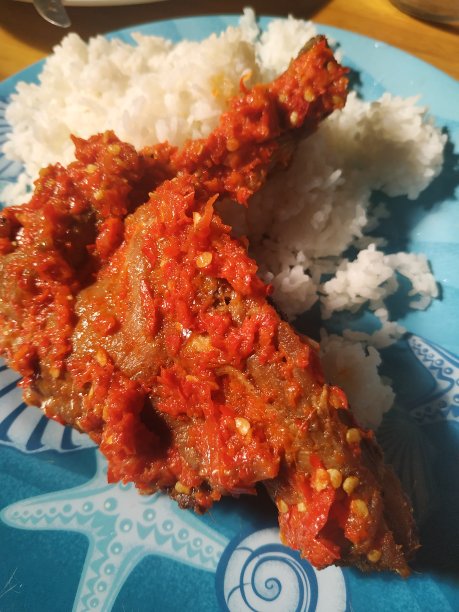 魔鬼蛋母鸡。图片下载