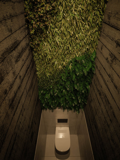 室内设计。体系结构。电脑生成的浴室图像。建筑可视化，3D渲染。图片下载