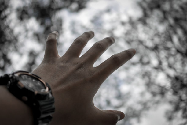 森林里一个城里人的手。图片下载